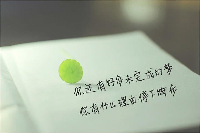 幸运草01的个人主页（封面预览） - 主页封面设置 - 站酷设计师幸运草01原创素材 - 站酷ZCOOL