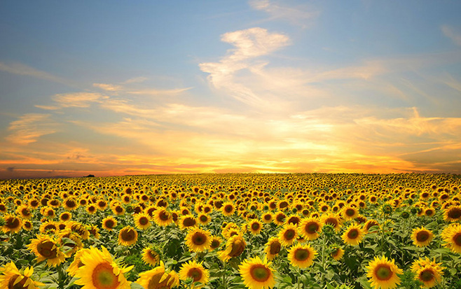 做设计我是认真的的个人主页（封面预览） - 主页封面设置 - 站酷设计师做设计我是认真的原创素材 - 站酷ZCOOL