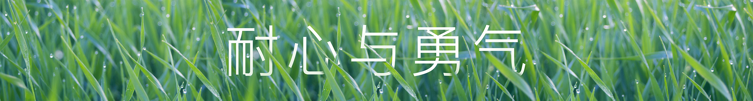 大斌_的個(gè)人主頁（封面預(yù)覽） - 主頁封面設(shè)置 - 站酷設(shè)計(jì)師大斌_原創(chuàng)素材 - 站酷ZCOOL