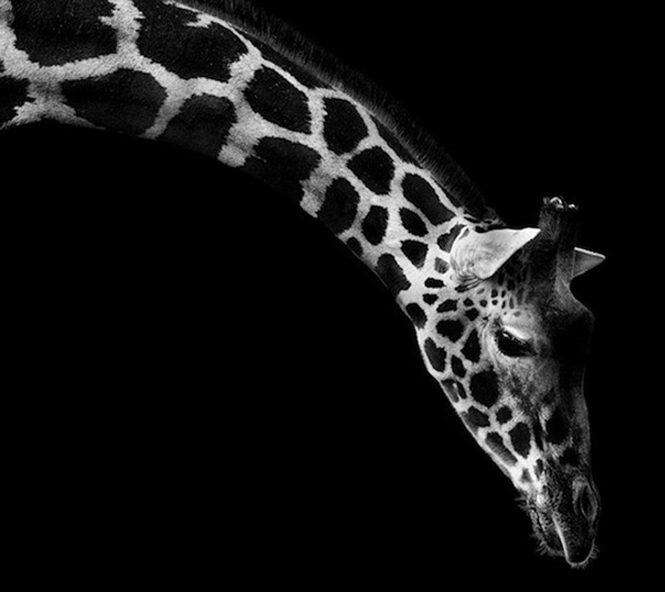 121Design的个人主页（封面预览） - 主页封面设置 - 站酷设计师121Design原创素材 - 站酷ZCOOL