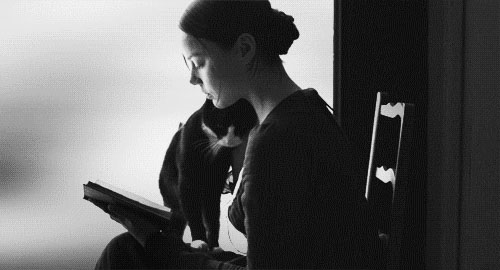 帅帅小八的个人主页（封面预览） - 主页封面设置 - 站酷设计师帅帅小八原创素材 - 站酷ZCOOL