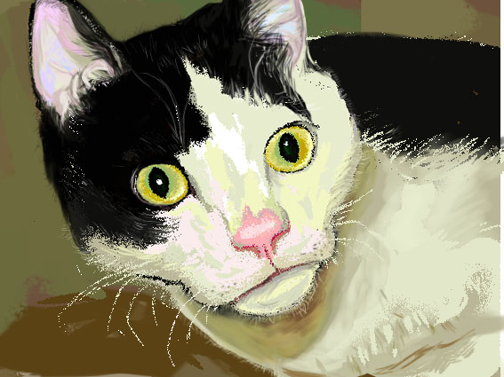 小九野的個人主頁（封面預(yù)覽） - 主頁封面設(shè)置 - 站酷設(shè)計師小九野原創(chuàng)素材 - 站酷ZCOOL