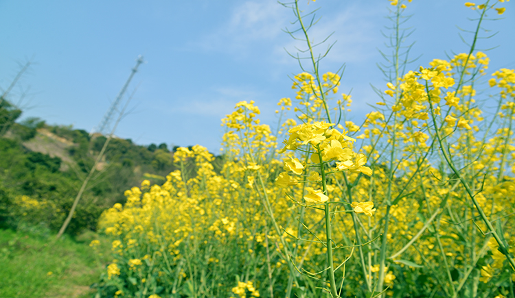 卡斯帕尔的个人主页（封面预览） - 主页封面设置 - 站酷设计师卡斯帕尔原创素材 - 站酷ZCOOL