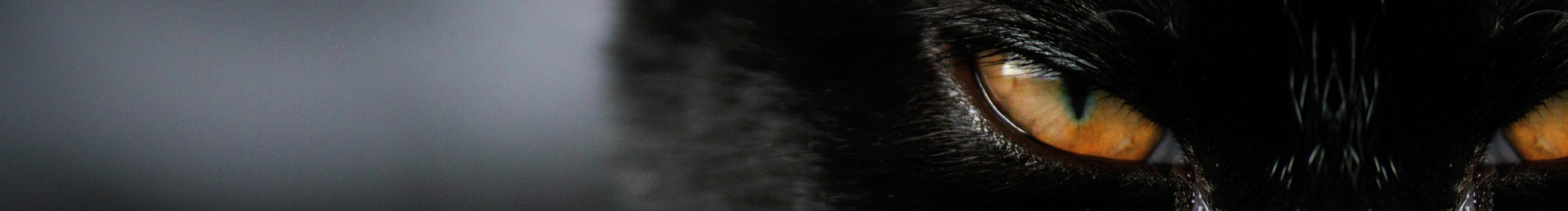 妹头OOO的个人主页（封面预览） - 主页封面设置 - 站酷设计师妹头OOO原创素材 - 站酷ZCOOL