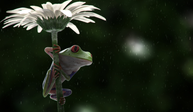 CCCCQi的個(gè)人主頁（封面預(yù)覽） - 主頁封面設(shè)置 - 站酷設(shè)計(jì)師CCCCQi原創(chuàng)素材 - 站酷ZCOOL