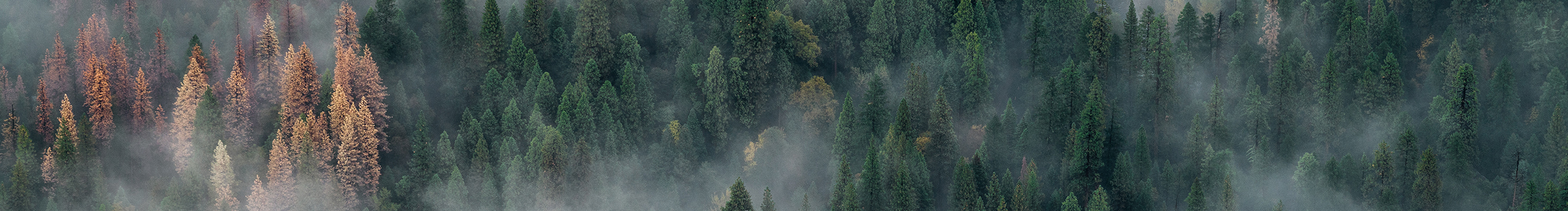 饒晨的個人主頁（封面預(yù)覽） - 主頁封面設(shè)置 - 站酷設(shè)計師饒晨原創(chuàng)素材 - 站酷ZCOOL