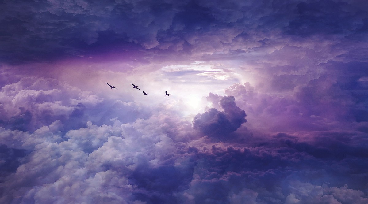 我的朋友是傻缺的个人主页（封面预览） - 主页封面设置 - 站酷设计师我的朋友是傻缺原创素材 - 站酷ZCOOL