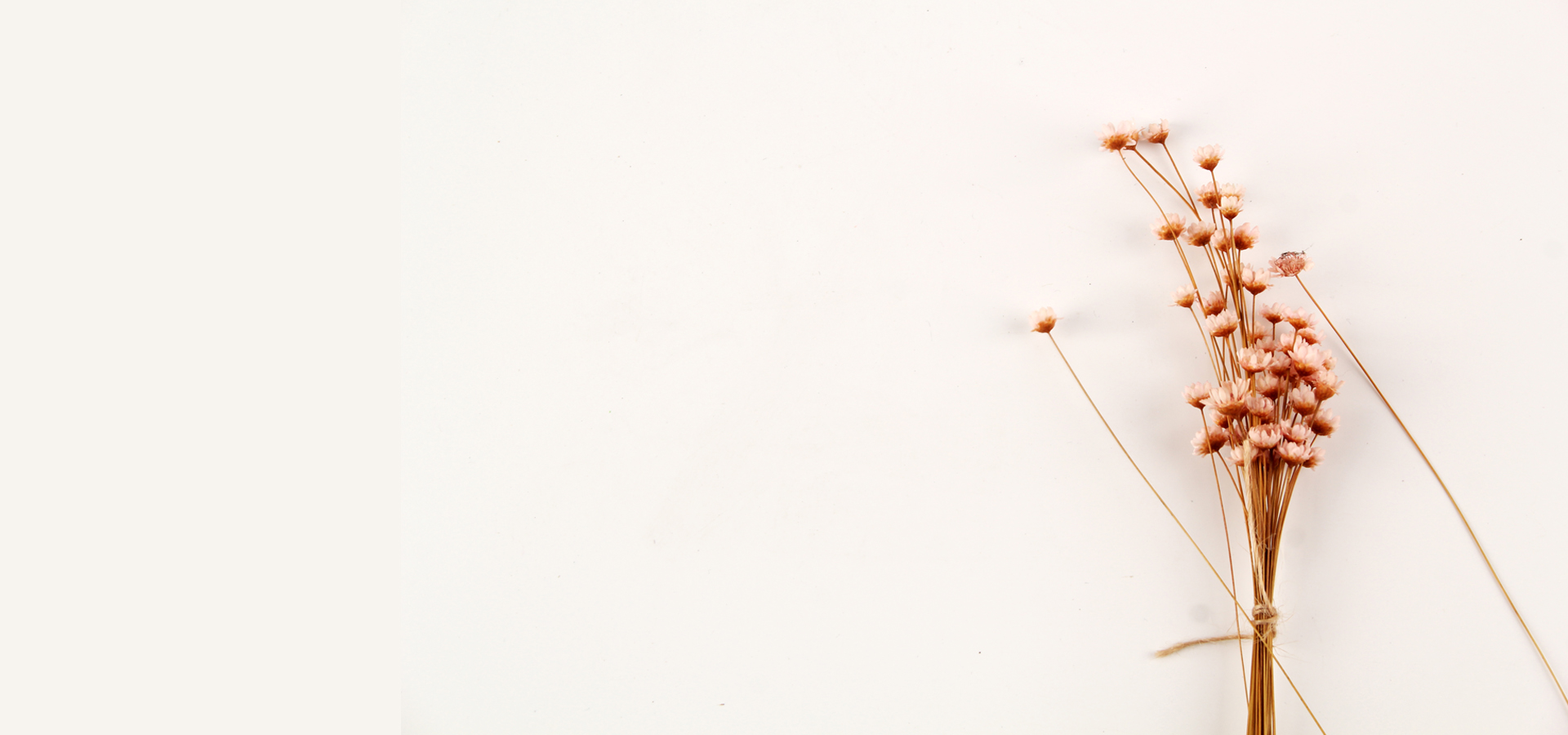 小青姑娘的个人主页（封面预览） - 主页封面设置 - 站酷设计师小青姑娘原创素材 - 站酷ZCOOL