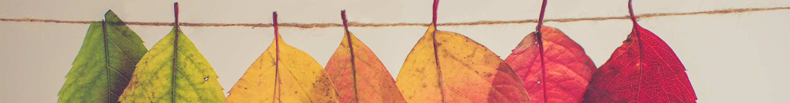 誩誩的個(gè)人主頁（封面預(yù)覽） - 主頁封面設(shè)置 - 站酷設(shè)計(jì)師誩誩原創(chuàng)素材 - 站酷ZCOOL