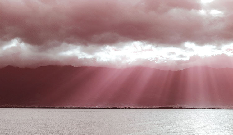 JaneW616的个人主页（封面预览） - 主页封面设置 - 站酷设计师JaneW616原创素材 - 站酷ZCOOL