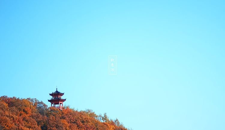 AvrilChris的個(gè)人主頁(yè)（封面預(yù)覽） - 主頁(yè)封面設(shè)置 - 站酷設(shè)計(jì)師AvrilChris原創(chuàng)素材 - 站酷ZCOOL