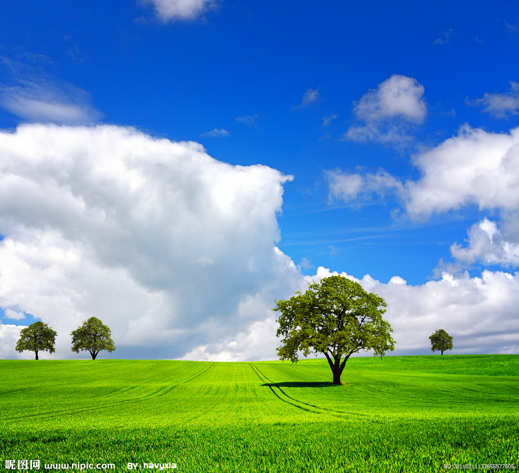 sacred的個人主頁（封面預覽） - 主頁封面設置 - 站酷設計師sacred原創(chuàng)素材 - 站酷ZCOOL