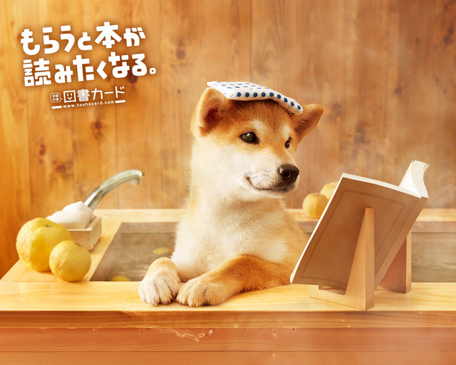 昵昵團(tuán)子的個(gè)人主頁(yè)（封面預(yù)覽） - 主頁(yè)封面設(shè)置 - 站酷設(shè)計(jì)師昵昵團(tuán)子原創(chuàng)素材 - 站酷ZCOOL