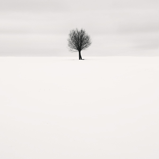 lee87的个人主页（封面预览） - 主页封面设置 - 站酷设计师lee87原创素材 - 站酷ZCOOL