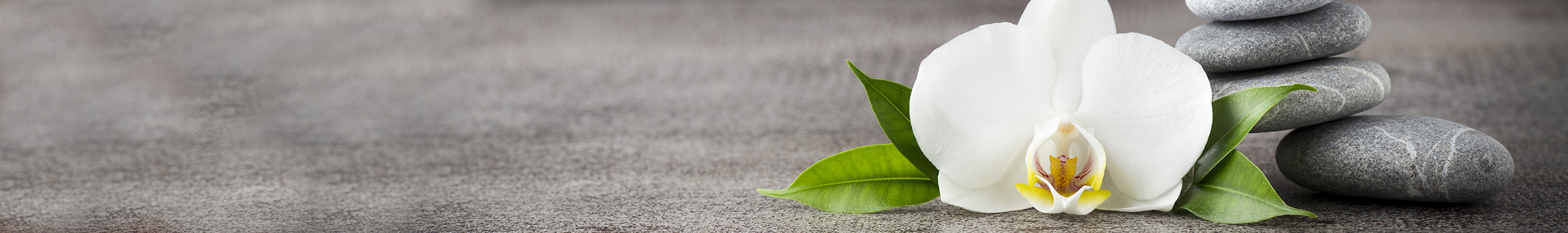 ALei_design的个人主页（封面预览） - 主页封面设置 - 站酷设计师ALei_design原创素材 - 站酷ZCOOL