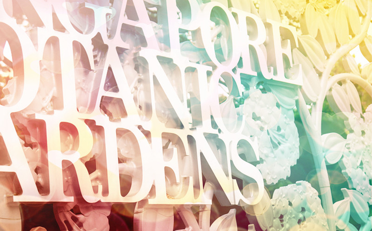 cazozo的个人主页（封面预览） - 主页封面设置 - 站酷设计师cazozo原创素材 - 站酷ZCOOL