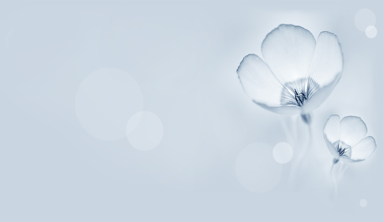 不停向前的个人主页（封面预览） - 主页封面设置 - 站酷设计师不停向前原创素材 - 站酷ZCOOL