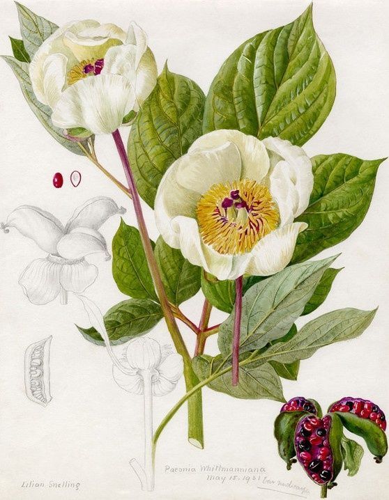 plwsdyt的个人主页（封面预览） - 主页封面设置 - 站酷设计师plwsdyt原创素材 - 站酷ZCOOL