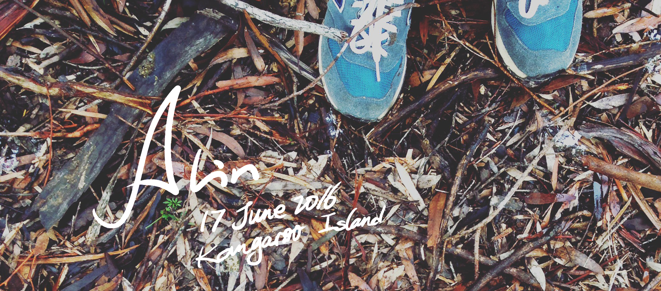 AlinJohn的個(gè)人主頁（封面預(yù)覽） - 主頁封面設(shè)置 - 站酷設(shè)計(jì)師AlinJohn原創(chuàng)素材 - 站酷ZCOOL