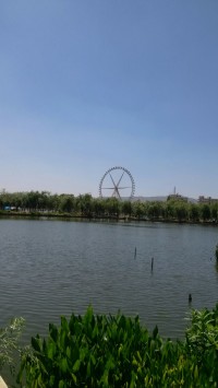 Picture