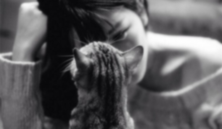 WANGFENGING的個(gè)人主頁(yè)（封面預(yù)覽） - 主頁(yè)封面設(shè)置 - 站酷設(shè)計(jì)師WANGFENGING原創(chuàng)素材 - 站酷ZCOOL