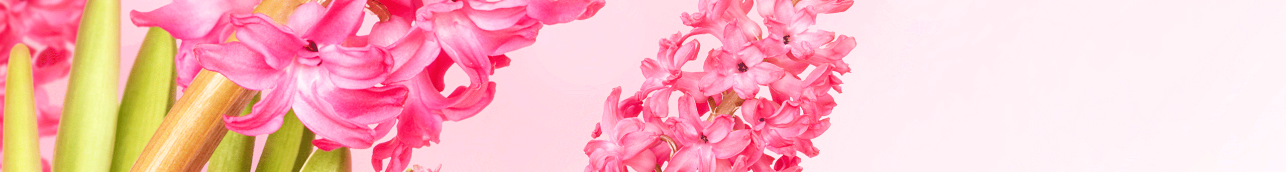 设计师豆瓣儿的个人主页（封面预览） - 主页封面设置 - 站酷设计师设计师豆瓣儿原创素材 - 站酷ZCOOL