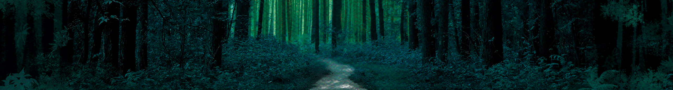 心在流浪無(wú)處安放的個(gè)人主頁(yè)（封面預(yù)覽） - 主頁(yè)封面設(shè)置 - 站酷設(shè)計(jì)師心在流浪無(wú)處安放原創(chuàng)素材 - 站酷ZCOOL