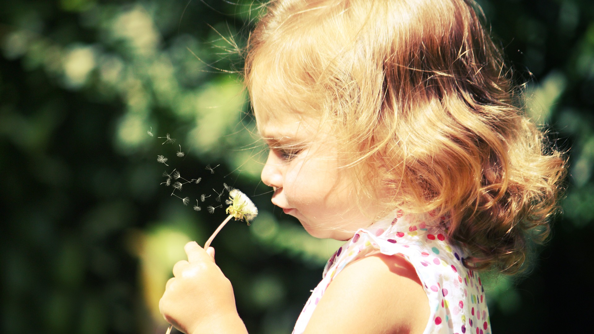 Bao_宝儿的个人主页（封面预览） - 主页封面设置 - 站酷设计师Bao_宝儿原创素材 - 站酷ZCOOL