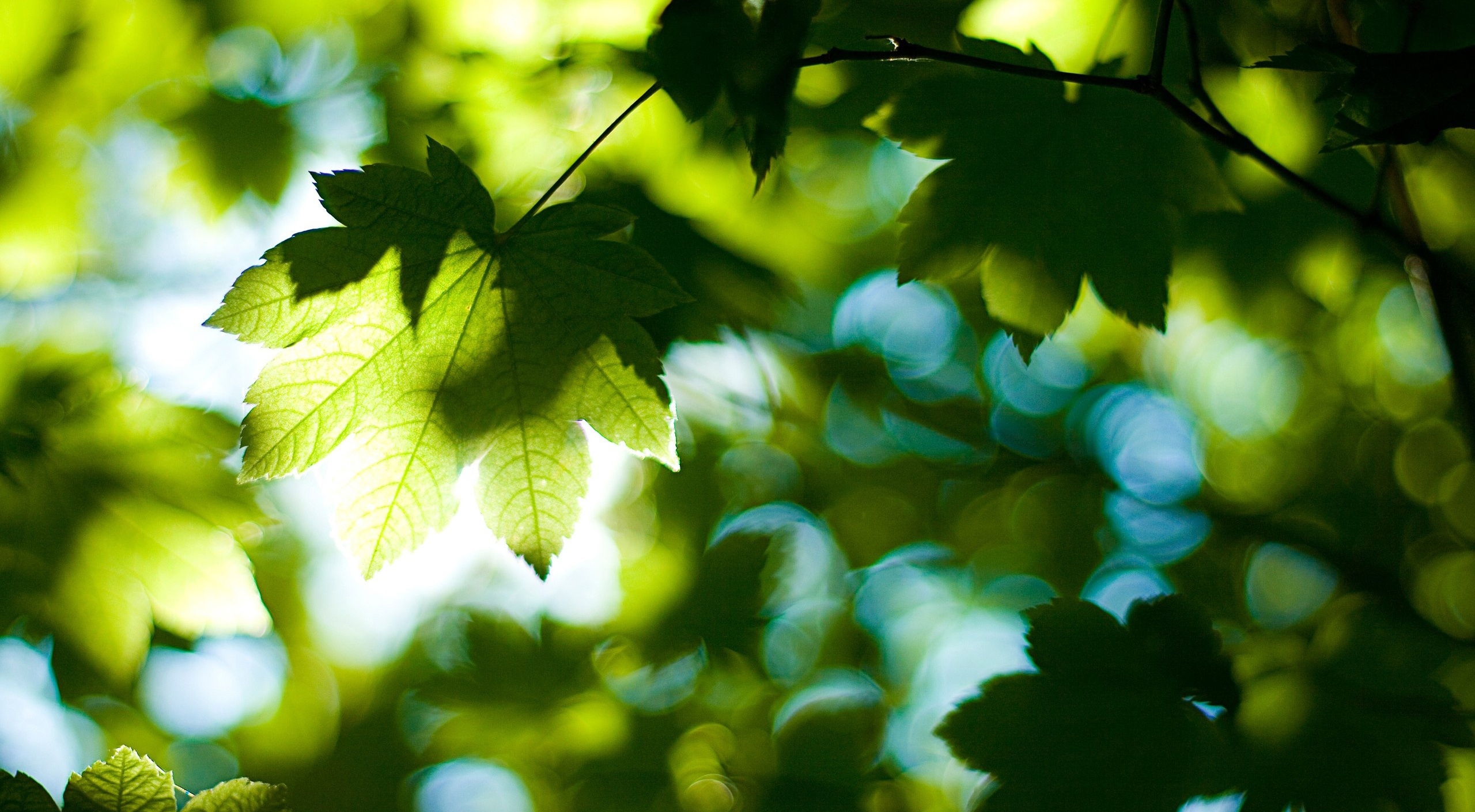 ven_啊稳的个人主页（封面预览） - 主页封面设置 - 站酷设计师ven_啊稳原创素材 - 站酷ZCOOL