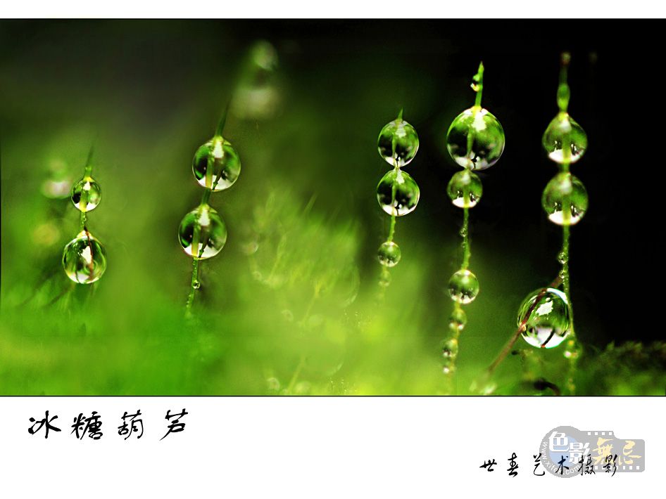 HDSAI的个人主页（封面预览） - 主页封面设置 - 站酷设计师HDSAI原创素材 - 站酷ZCOOL