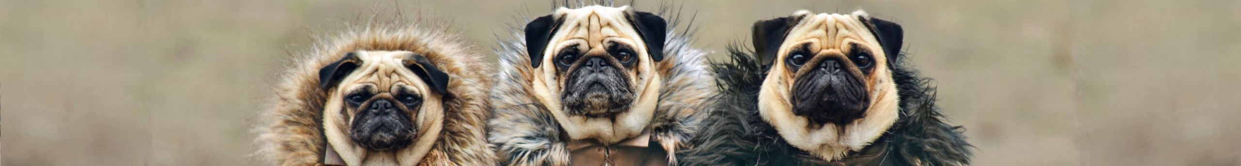 Hello_咸菜的個人主頁（封面預(yù)覽） - 主頁封面設(shè)置 - 站酷設(shè)計師Hello_咸菜原創(chuàng)素材 - 站酷ZCOOL