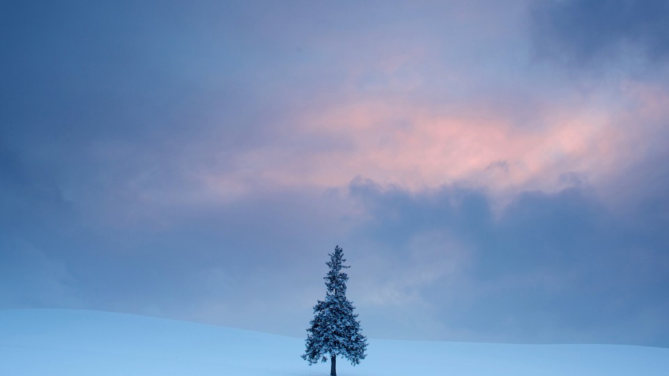 Hi_D的个人主页（封面预览） - 主页封面设置 - 站酷设计师Hi_D原创素材 - 站酷ZCOOL