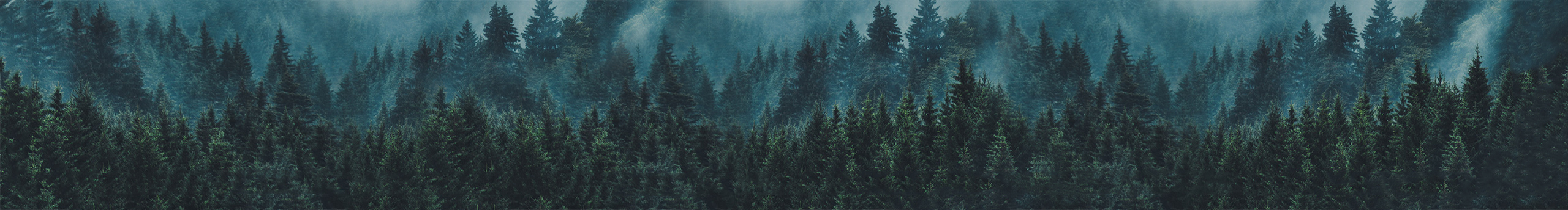 剑齿虎的个人主页（封面预览） - 主页封面设置 - 站酷设计师剑齿虎原创素材 - 站酷ZCOOL