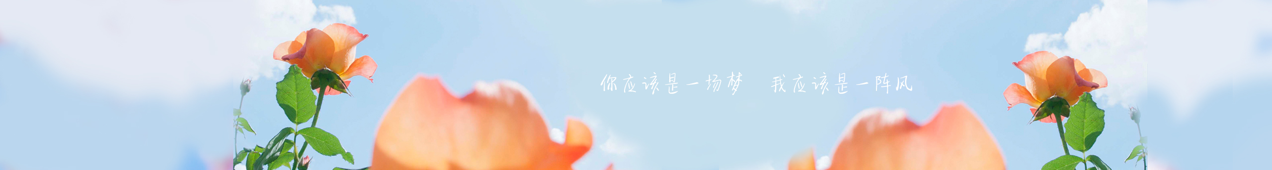 Y咚次大次的个人主页（封面预览） - 主页封面设置 - 站酷设计师Y咚次大次原创素材 - 站酷ZCOOL