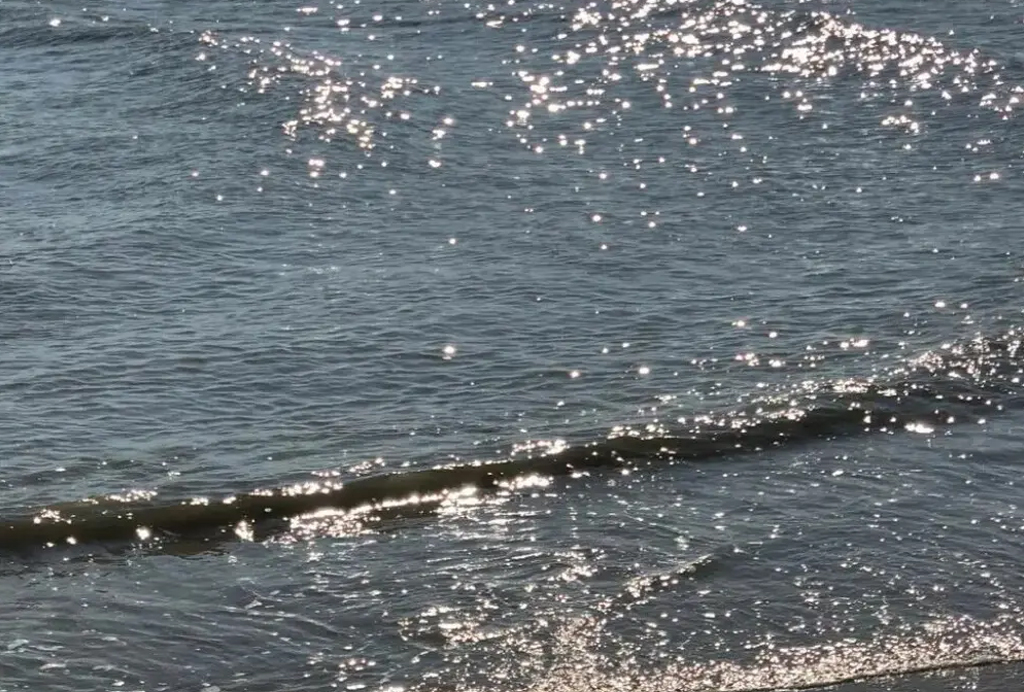 繁星收藏家的個人主頁（封面預(yù)覽） - 主頁封面設(shè)置 - 站酷設(shè)計師繁星收藏家原創(chuàng)素材 - 站酷ZCOOL