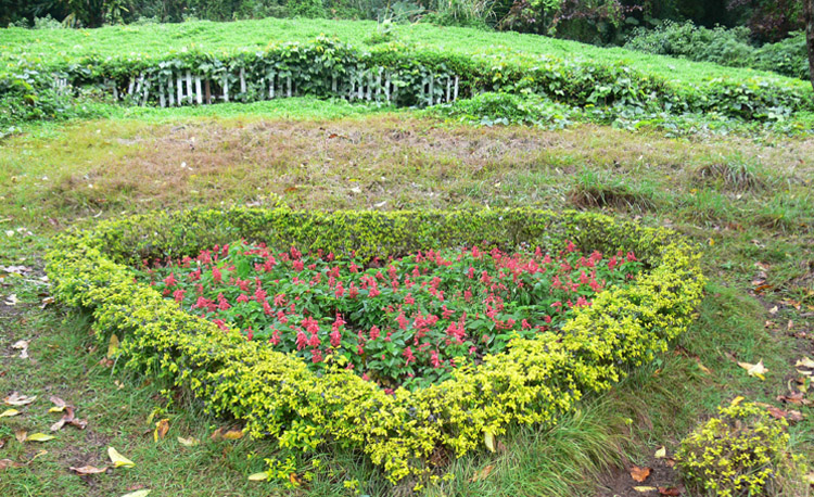 Christina889的个人主页（封面预览） - 主页封面设置 - 站酷设计师Christina889原创素材 - 站酷ZCOOL