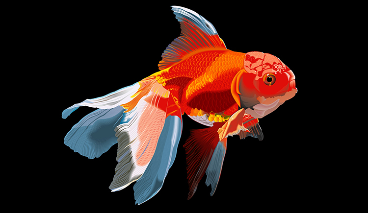 Bonnie_聂悟婧的个人主页（封面预览） - 主页封面设置 - 站酷设计师Bonnie_聂悟婧原创素材 - 站酷ZCOOL