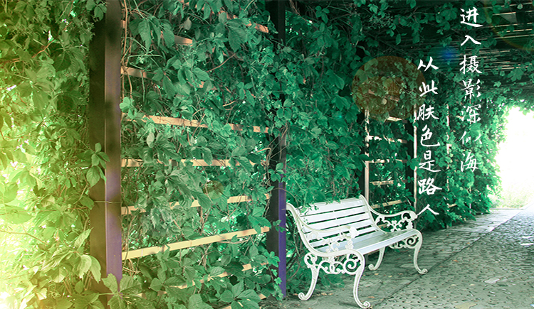 路路同学的个人主页（封面预览） - 主页封面设置 - 站酷设计师路路同学原创素材 - 站酷ZCOOL