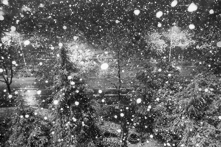 一大只麻煩的個人主頁（封面預(yù)覽） - 主頁封面設(shè)置 - 站酷設(shè)計師一大只麻煩原創(chuàng)素材 - 站酷ZCOOL