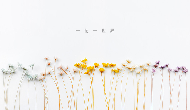 常安為樂的個人主頁（封面預覽） - 主頁封面設置 - 站酷設計師常安為樂原創(chuàng)素材 - 站酷ZCOOL