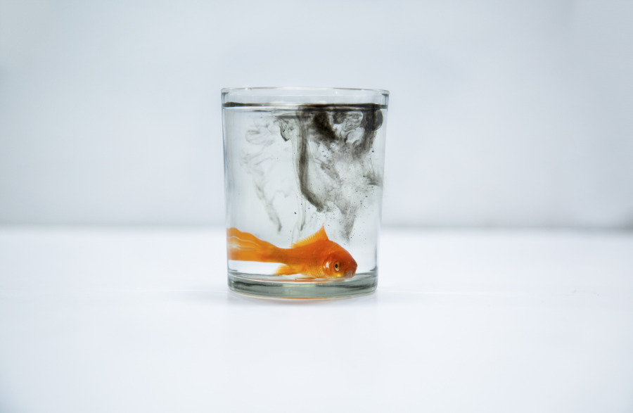 肉蓉肉肉肉的个人主页（封面预览） - 主页封面设置 - 站酷设计师肉蓉肉肉肉原创素材 - 站酷ZCOOL