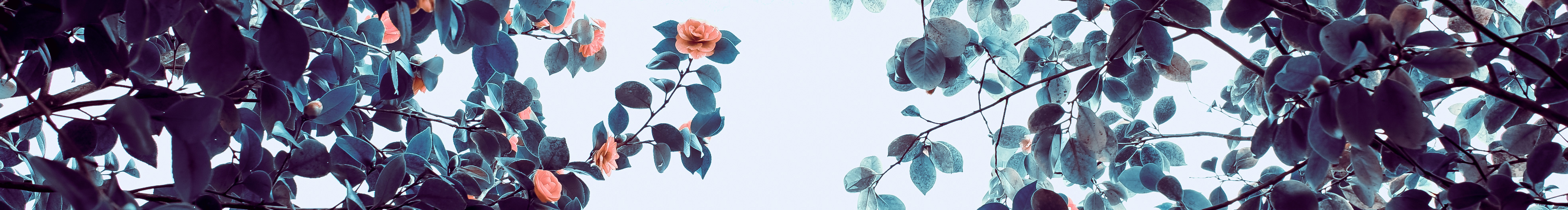 牧心1987的個(gè)人主頁(yè)（封面預(yù)覽） - 主頁(yè)封面設(shè)置 - 站酷設(shè)計(jì)師牧心1987原創(chuàng)素材 - 站酷ZCOOL