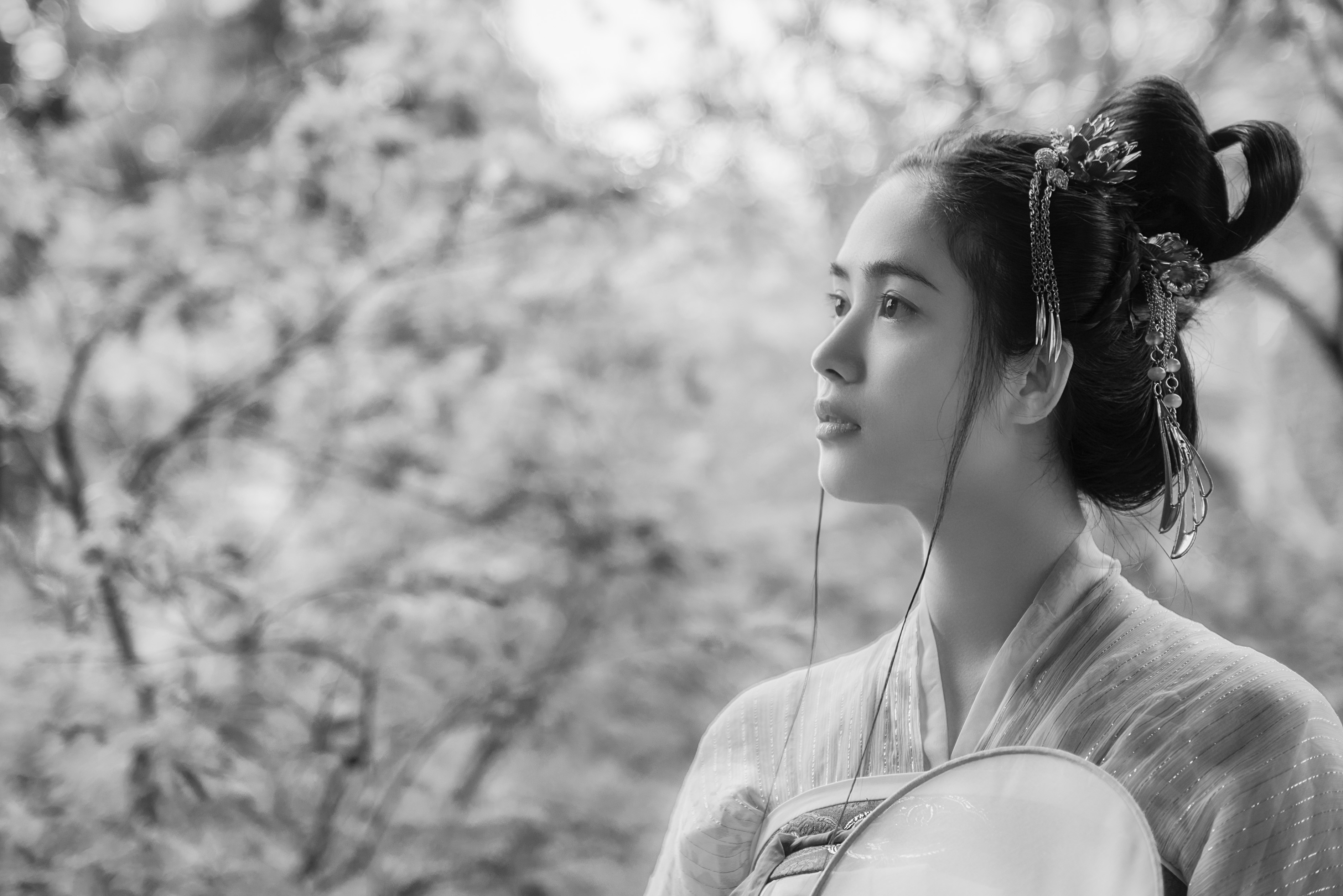 摄影的家俊的个人主页（封面预览） - 主页封面设置 - 站酷设计师摄影的家俊原创素材 - 站酷ZCOOL