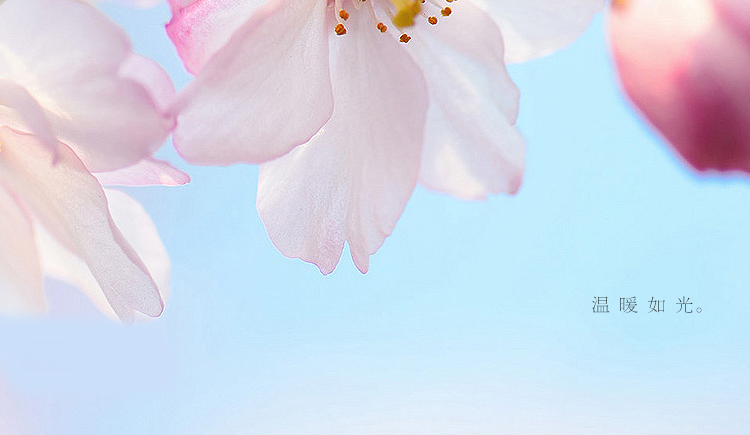 黃瓜瓜SUK的個(gè)人主頁(yè)（封面預(yù)覽） - 主頁(yè)封面設(shè)置 - 站酷設(shè)計(jì)師黃瓜瓜SUK原創(chuàng)素材 - 站酷ZCOOL