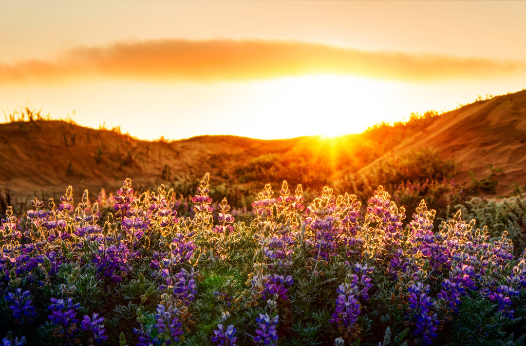 王麦穗的个人主页（封面预览） - 主页封面设置 - 站酷设计师王麦穗原创素材 - 站酷ZCOOL