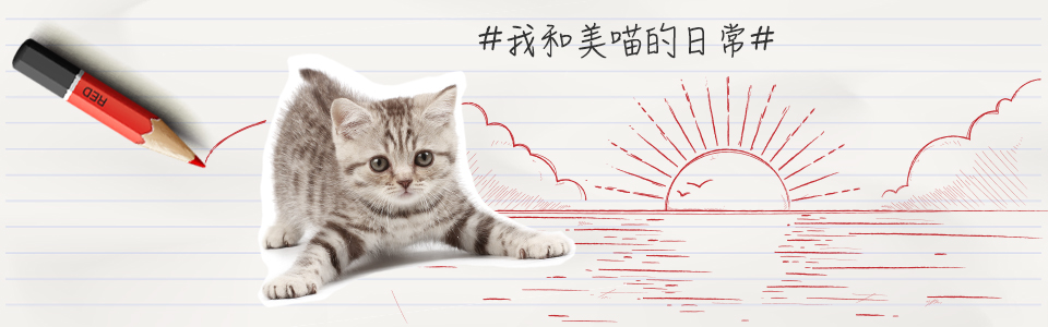 Zziam的个人主页（封面预览） - 主页封面设置 - 站酷设计师Zziam原创素材 - 站酷ZCOOL