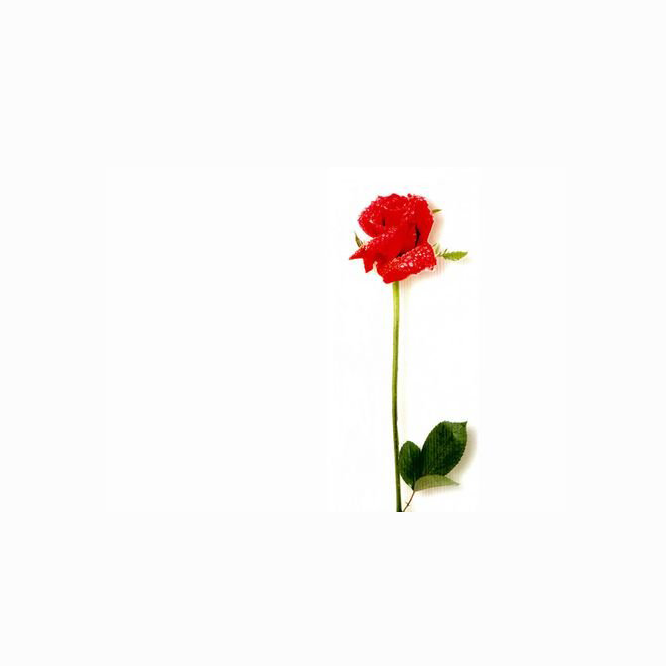 TELIXIU的個(gè)人主頁（封面預(yù)覽） - 主頁封面設(shè)置 - 站酷設(shè)計(jì)師TELIXIU原創(chuàng)素材 - 站酷ZCOOL