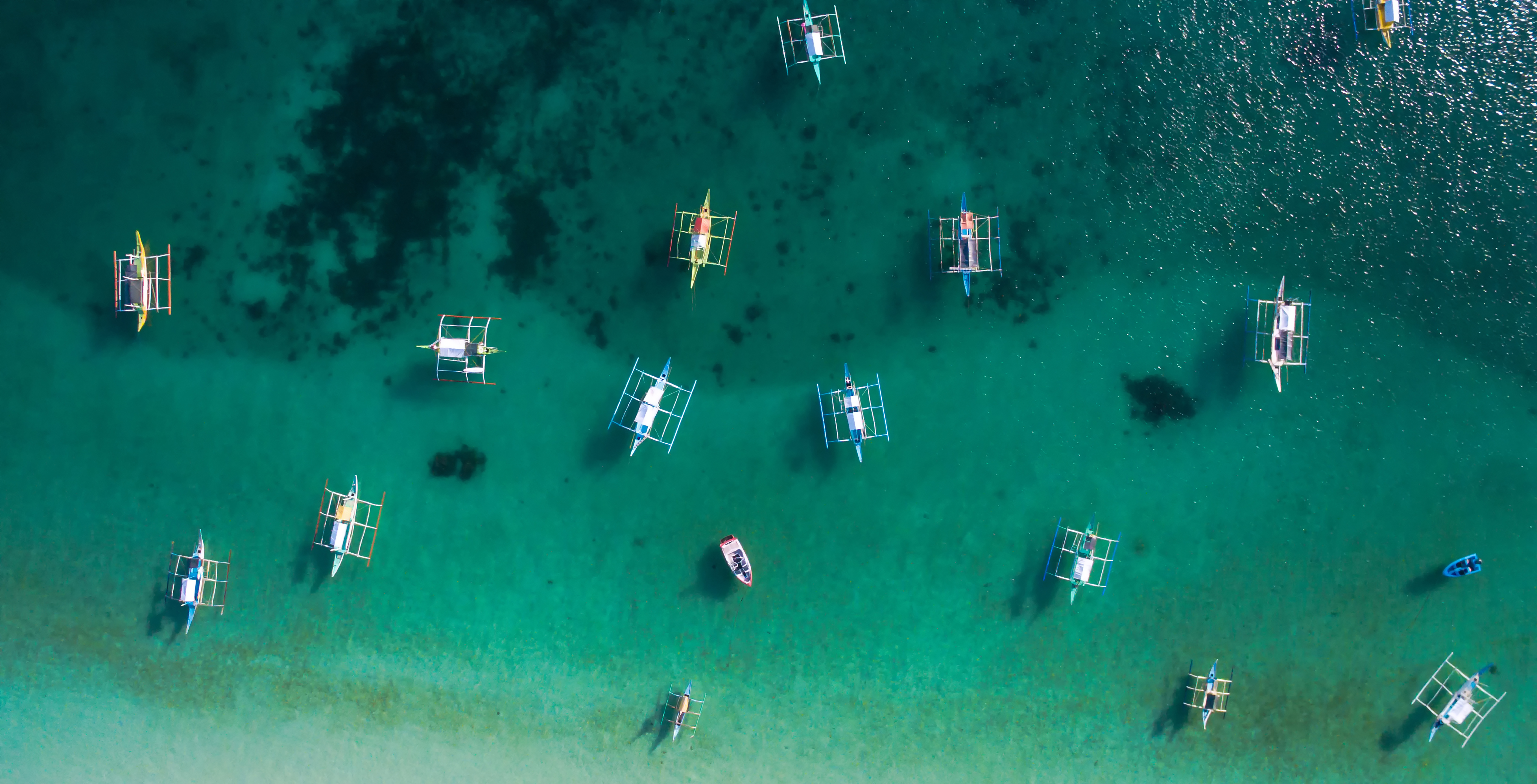 不上房的猫的个人主页（封面预览） - 主页封面设置 - 站酷设计师不上房的猫原创素材 - 站酷ZCOOL