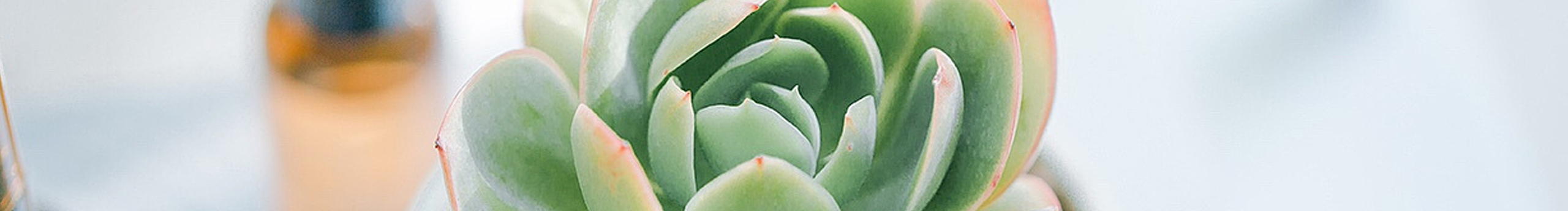 丿肖肖肖的个人主页（封面预览） - 主页封面设置 - 站酷设计师丿肖肖肖原创素材 - 站酷ZCOOL