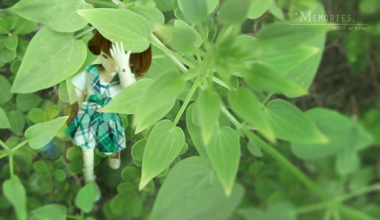 Wish月的個人主頁（封面預(yù)覽） - 主頁封面設(shè)置 - 站酷設(shè)計師Wish月原創(chuàng)素材 - 站酷ZCOOL